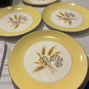 Yellow Wheat Pattern Dinner Plates